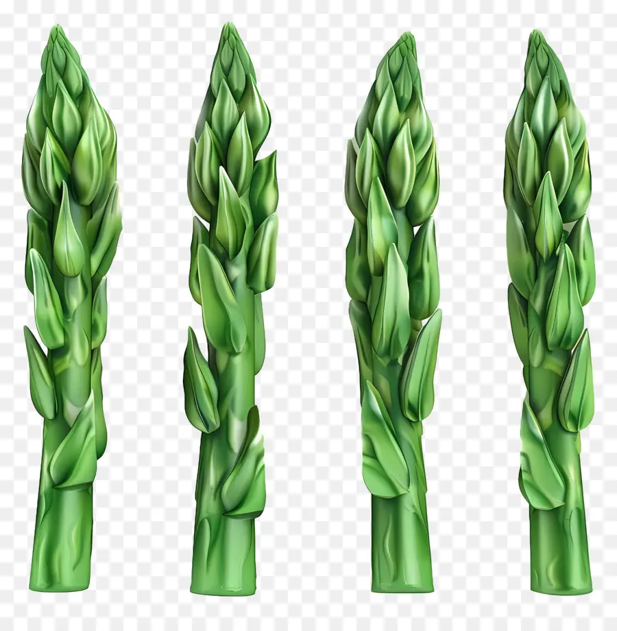 Asperges Vertes，Asperge PNG