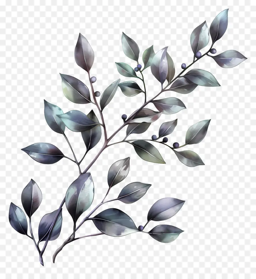 Brin Avec Des Feuilles，Plante Sombre PNG