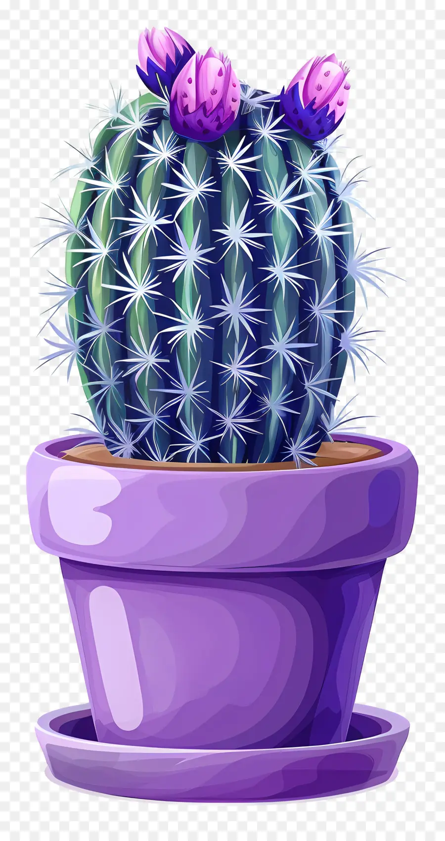 Cactus，Cactus Vert PNG