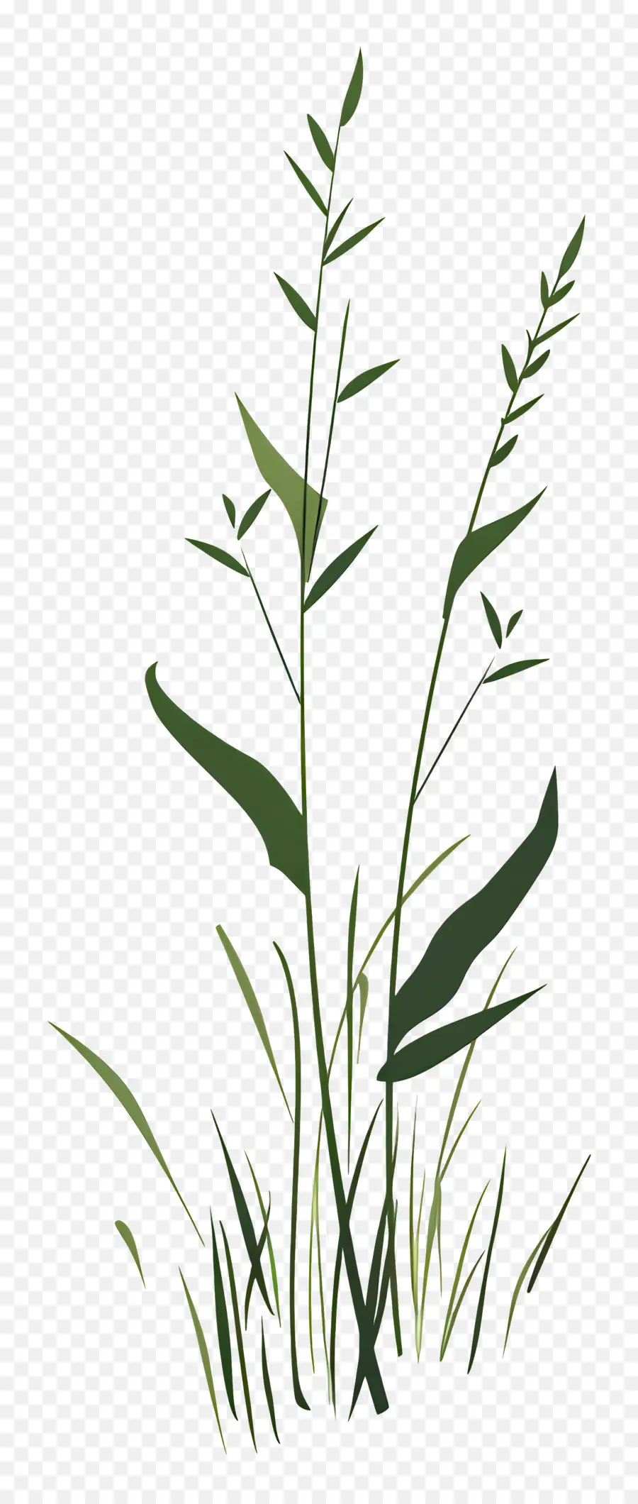 Brin D'herbe，Herbe Verte PNG