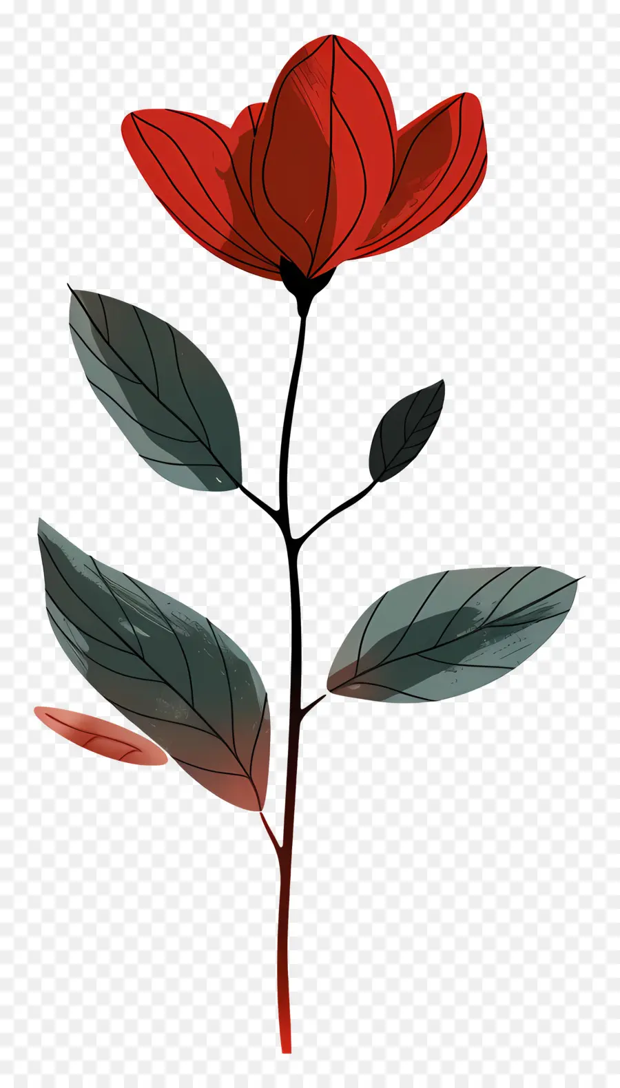 Fleur Rouge，Fleur PNG