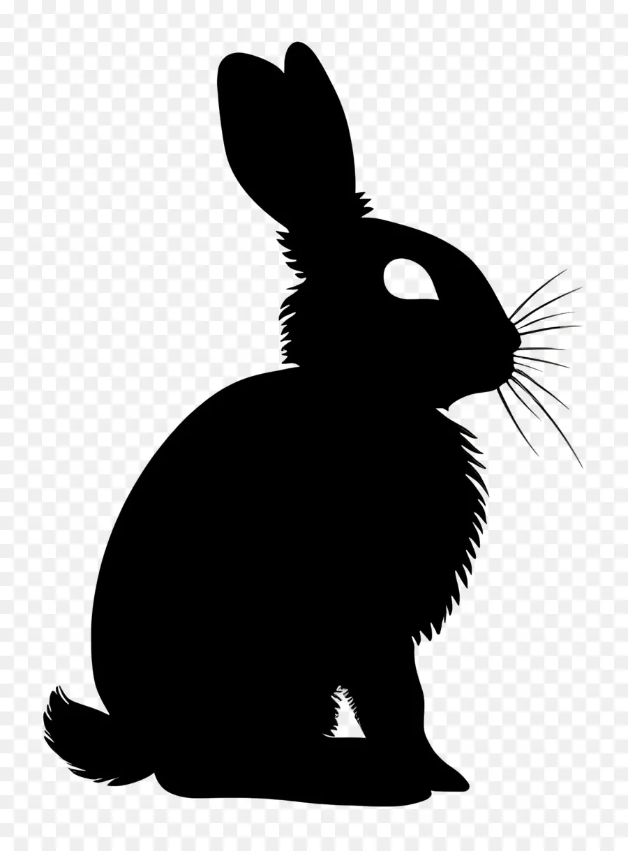 Silhouette De Lapin，Lapin PNG