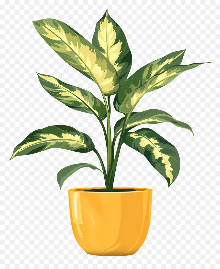 Plante D'intérieur，Plante En Pot PNG