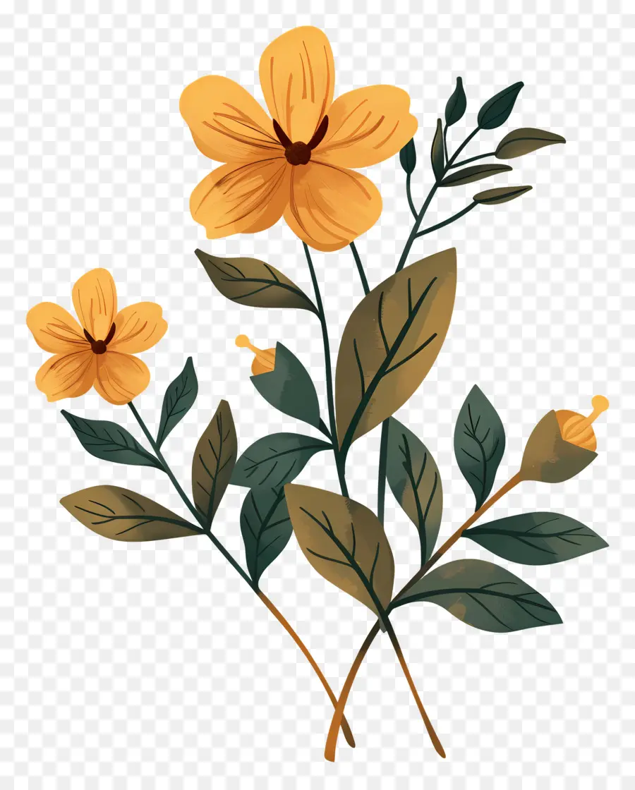 Fleur Jaune，Fleurs Oranges PNG