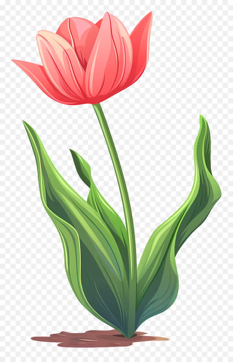 Tulipe Fleur，Rose Tulipe PNG