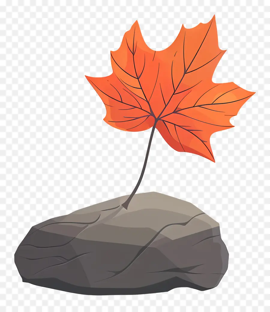 Feuille D'automne Sur Le Rocher，Feuille Orange Sur Rocher PNG