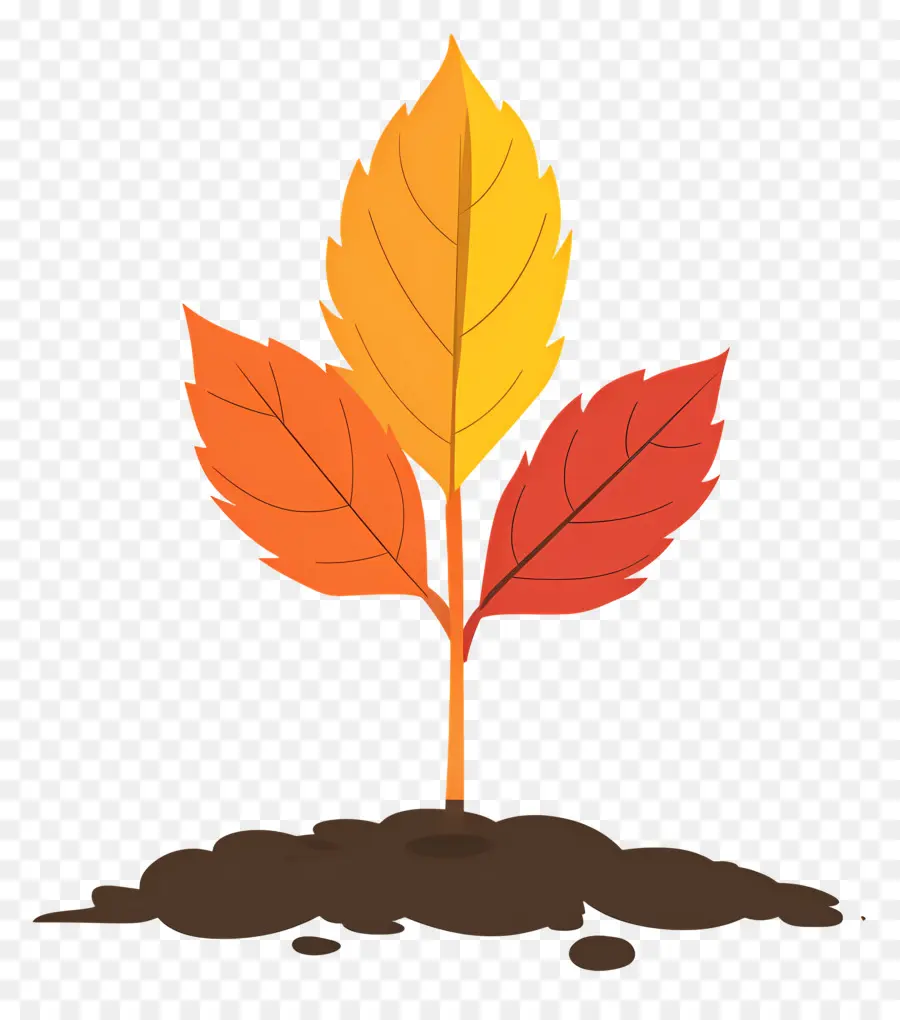 Feuille D'automne Sur Le Sol，Usine PNG