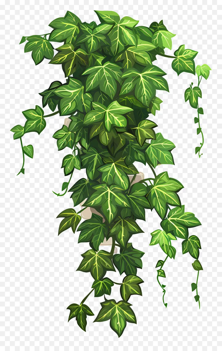 Lierre De Jardin，Plante De Lierre PNG