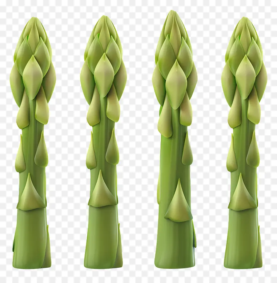 Asperges Vertes，Tiges PNG