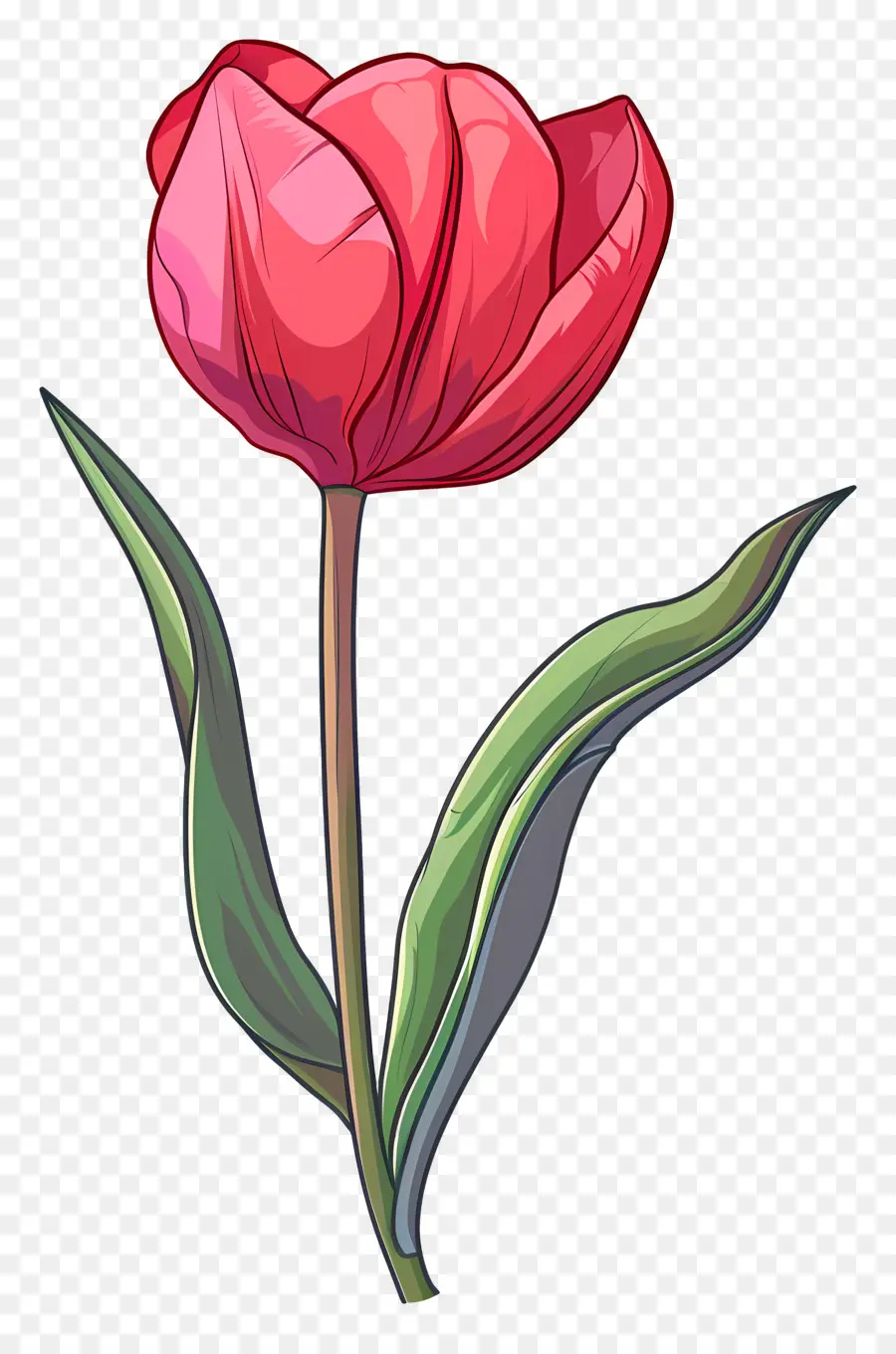 Fleur De Tulipe，Fleur Rose PNG