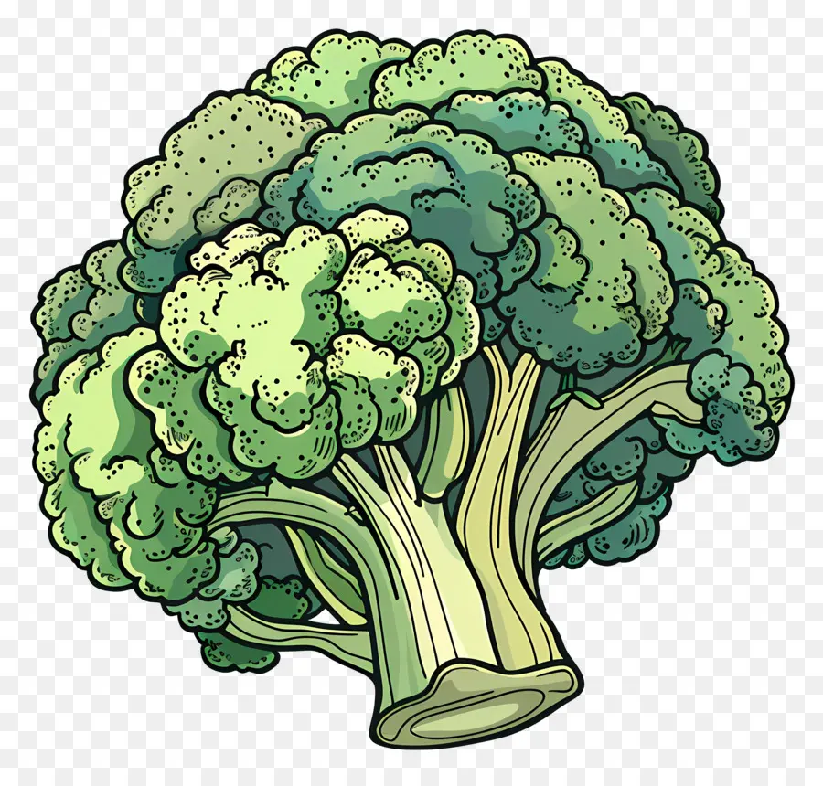 Brocoli，Vert PNG