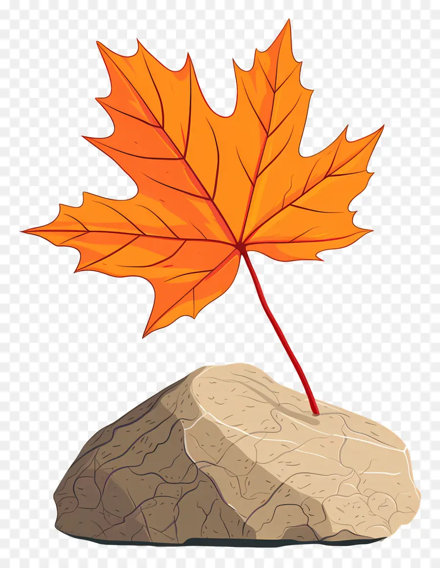 Feuille D'automne Sur Roche，Feuille D'orange Sur Le Rocher PNG