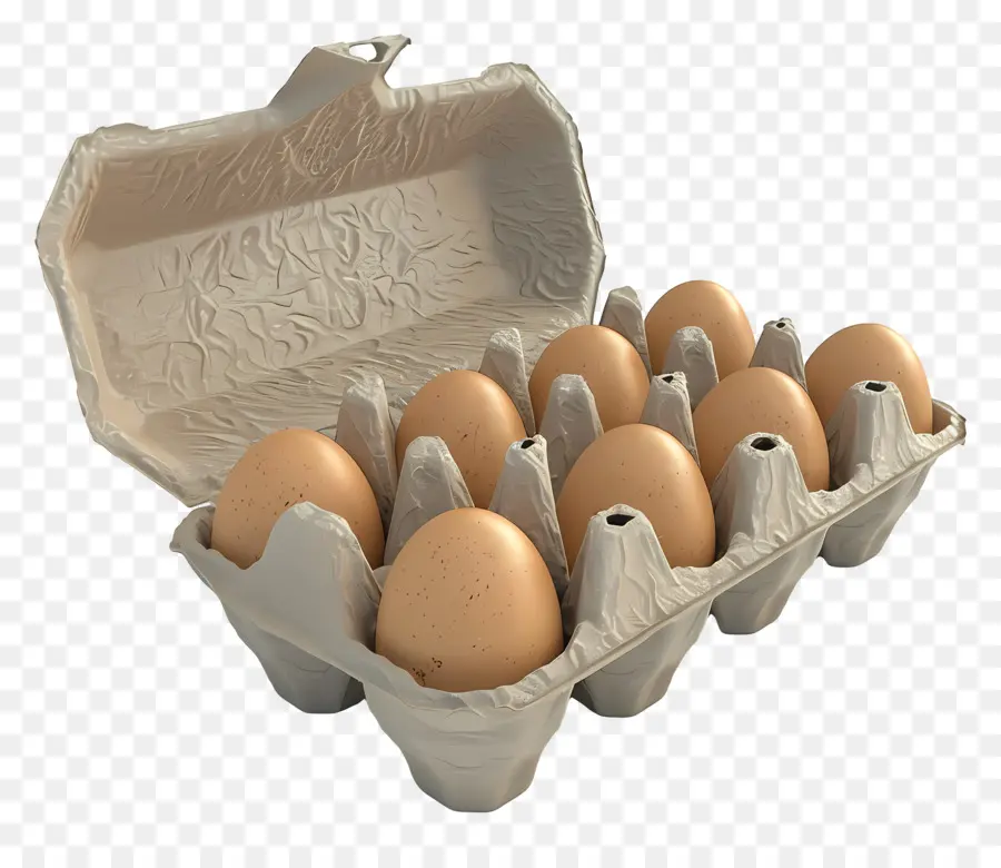 Carton D'oeufs，Oeufs Bruns PNG