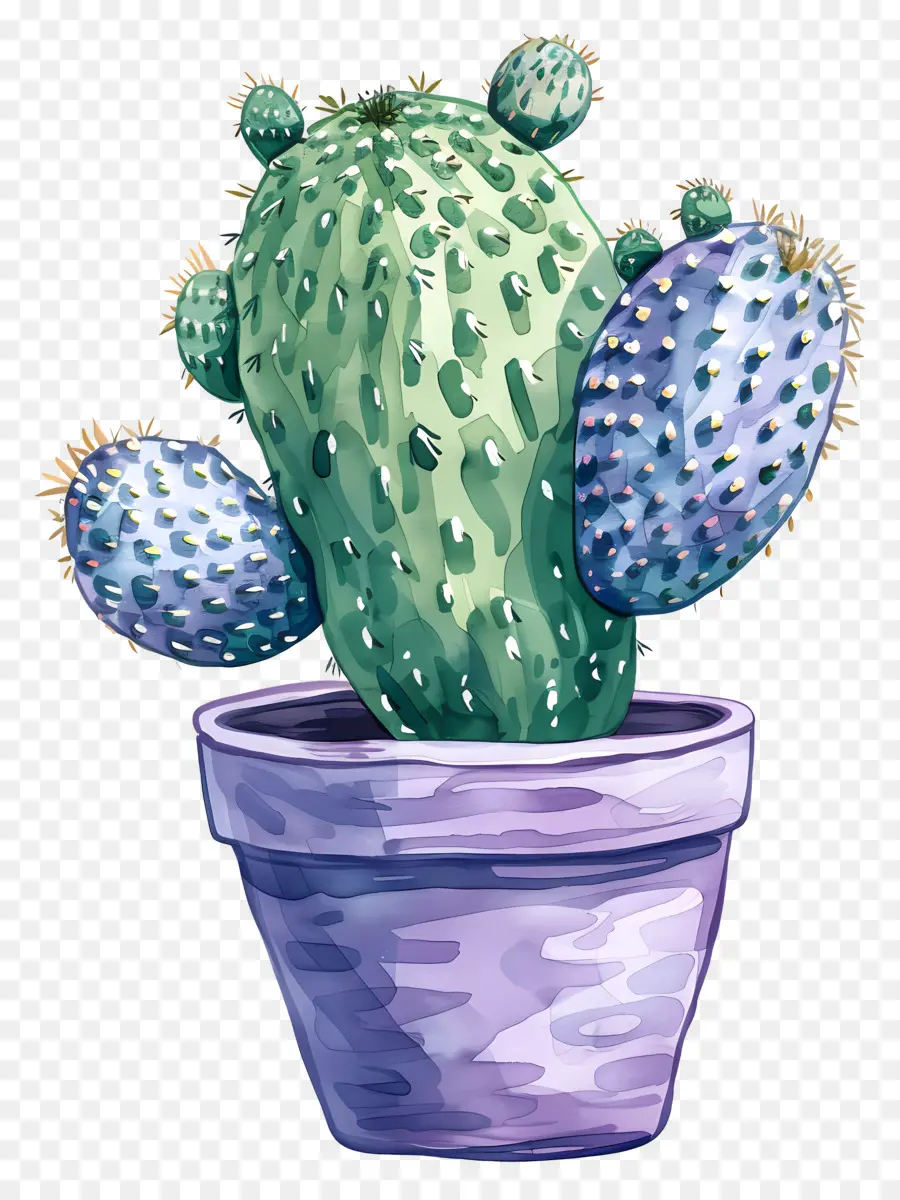 Cactus，Cactus Vert PNG