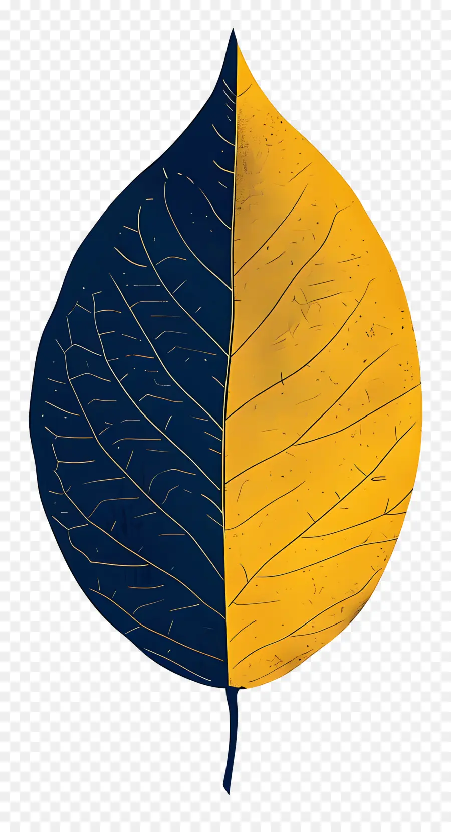 Feuille Nature，Feuille Colorée PNG