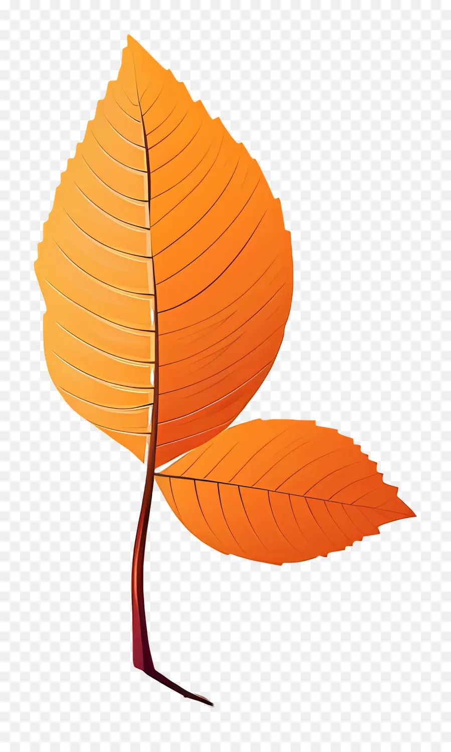 Feuille D'automne Sur Le Sol，Feuilles Colorées PNG