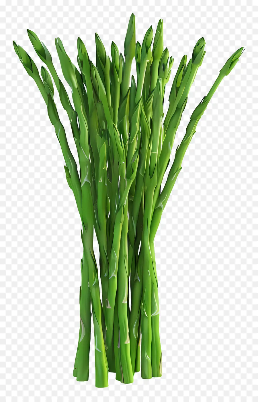 Asperges Vertes，Asperges PNG