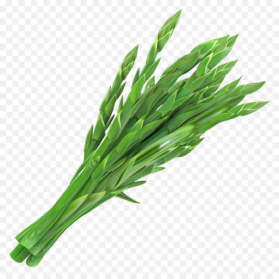 Asperges Vertes，Frais PNG