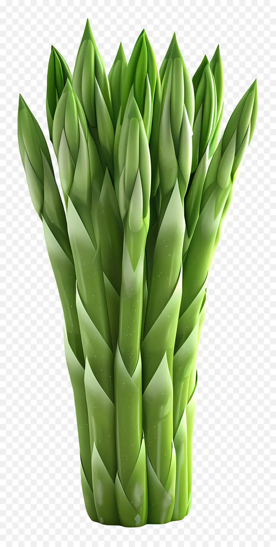 Asperges Vertes，Asperge PNG