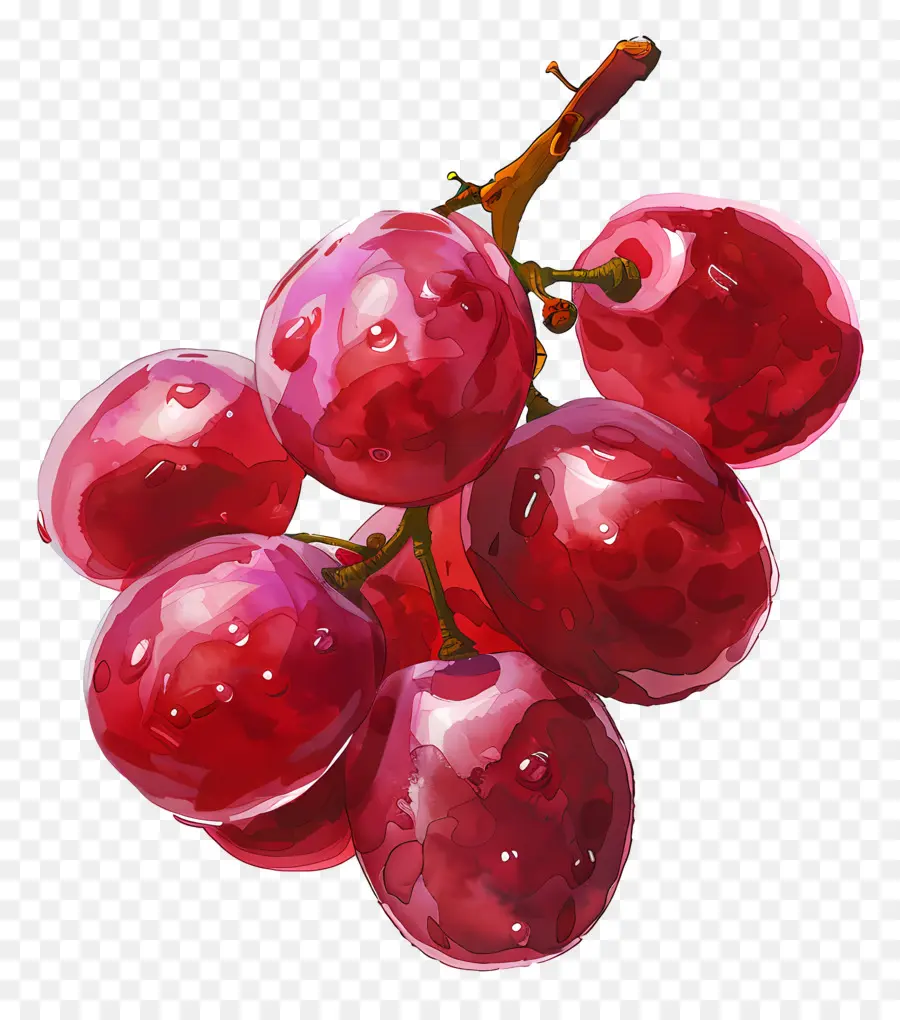 Raisins Rouges，Raisins PNG