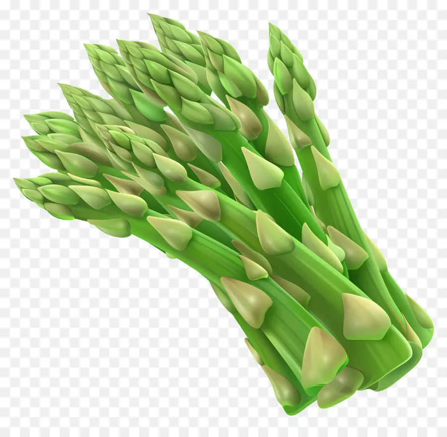 Asperges Vertes，Asperge PNG