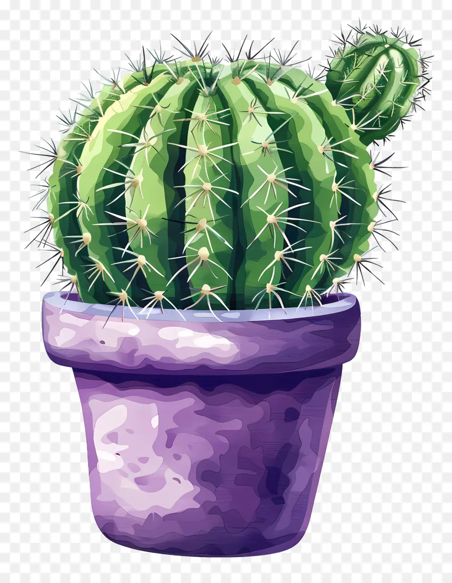 Cactus，Cactus Vert PNG