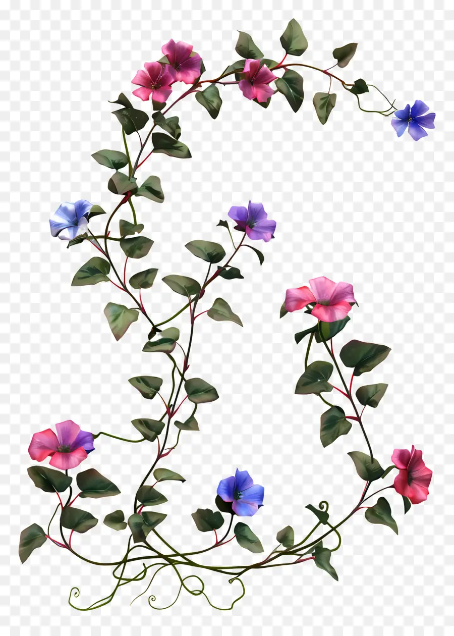 Fleur De Vigne，Feuilles PNG