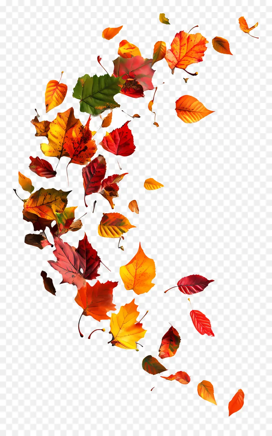 L'automne Commence，Feuilles D'automne PNG