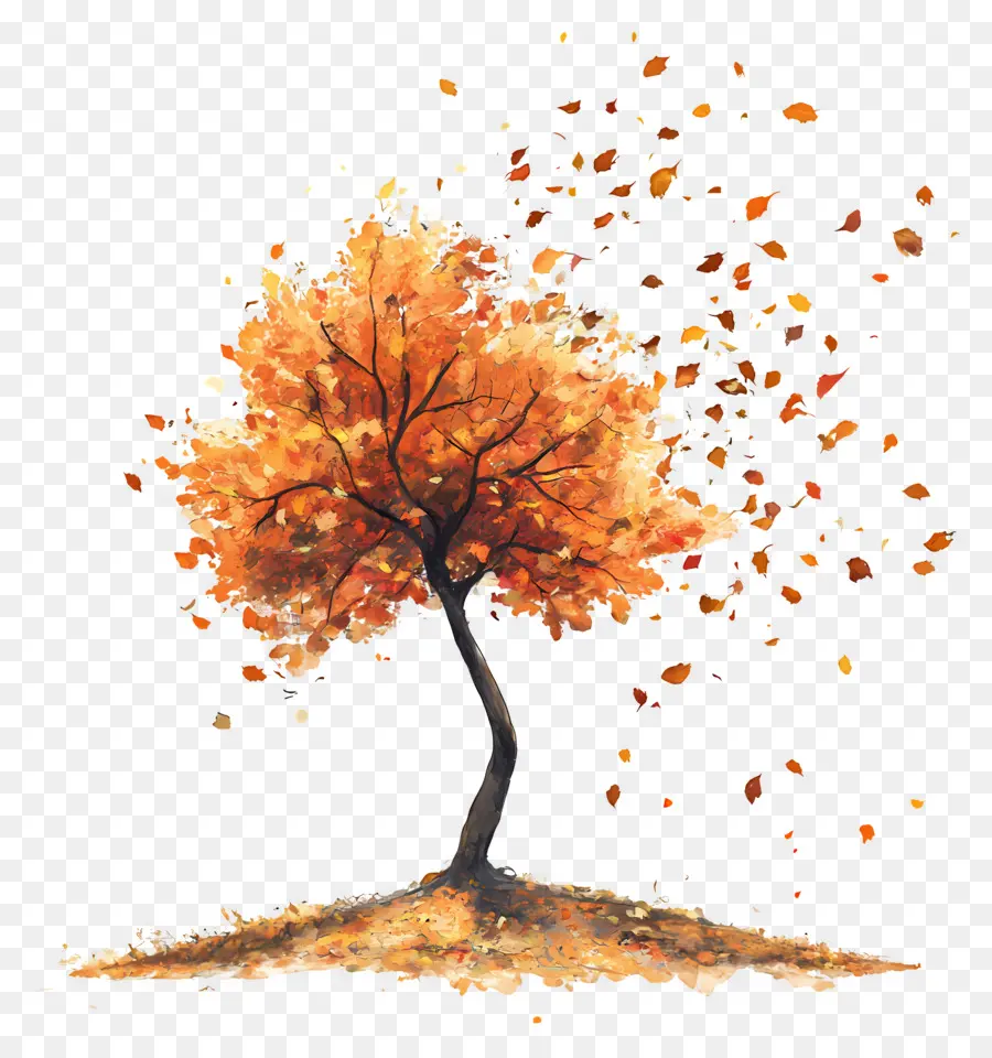 L'automne Commence，Arbre D'automne PNG