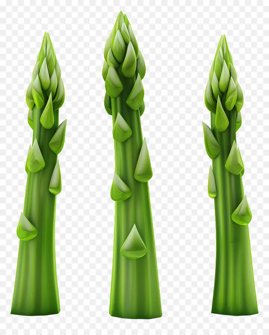 Asperges Vertes，Tiges PNG