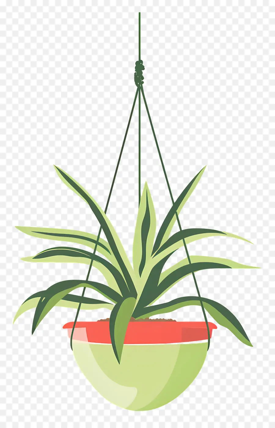 Cintre，La Pendaison De La Plante PNG