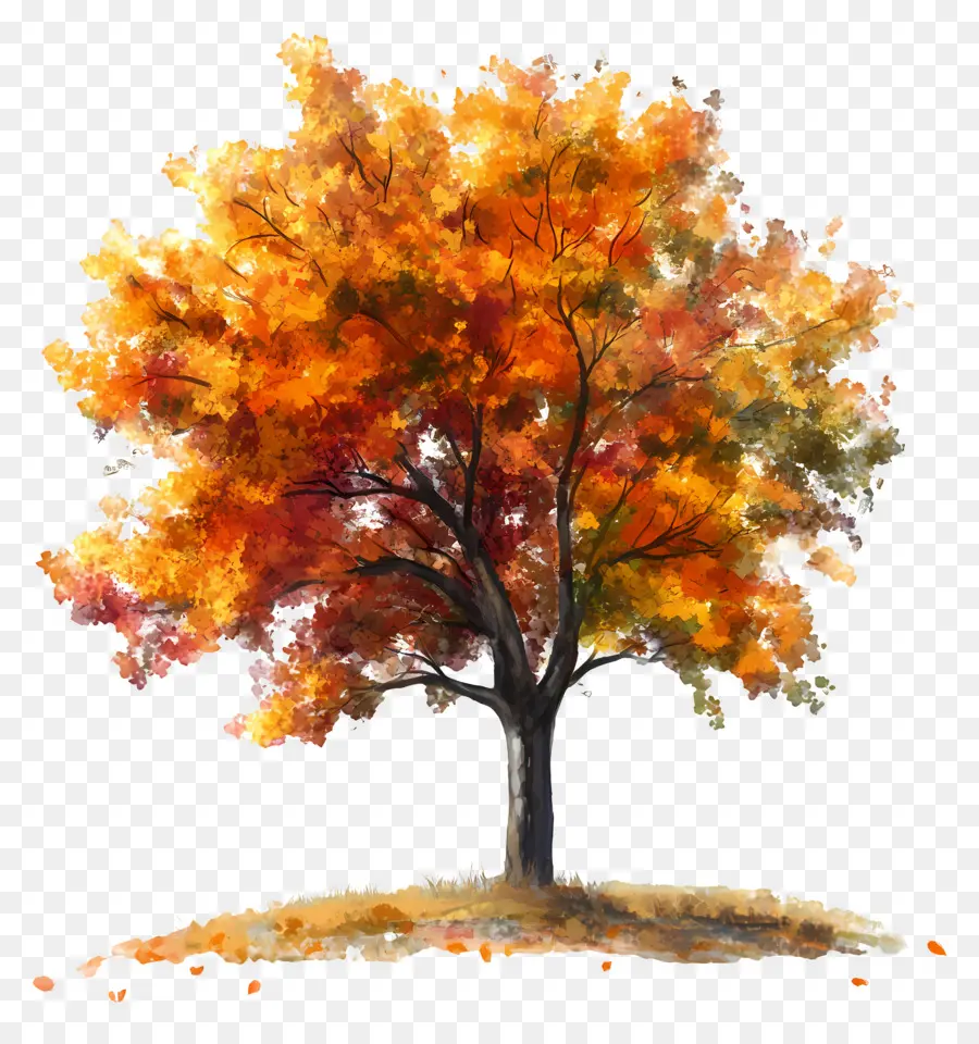 L'automne Commence，Arbre D'automne PNG