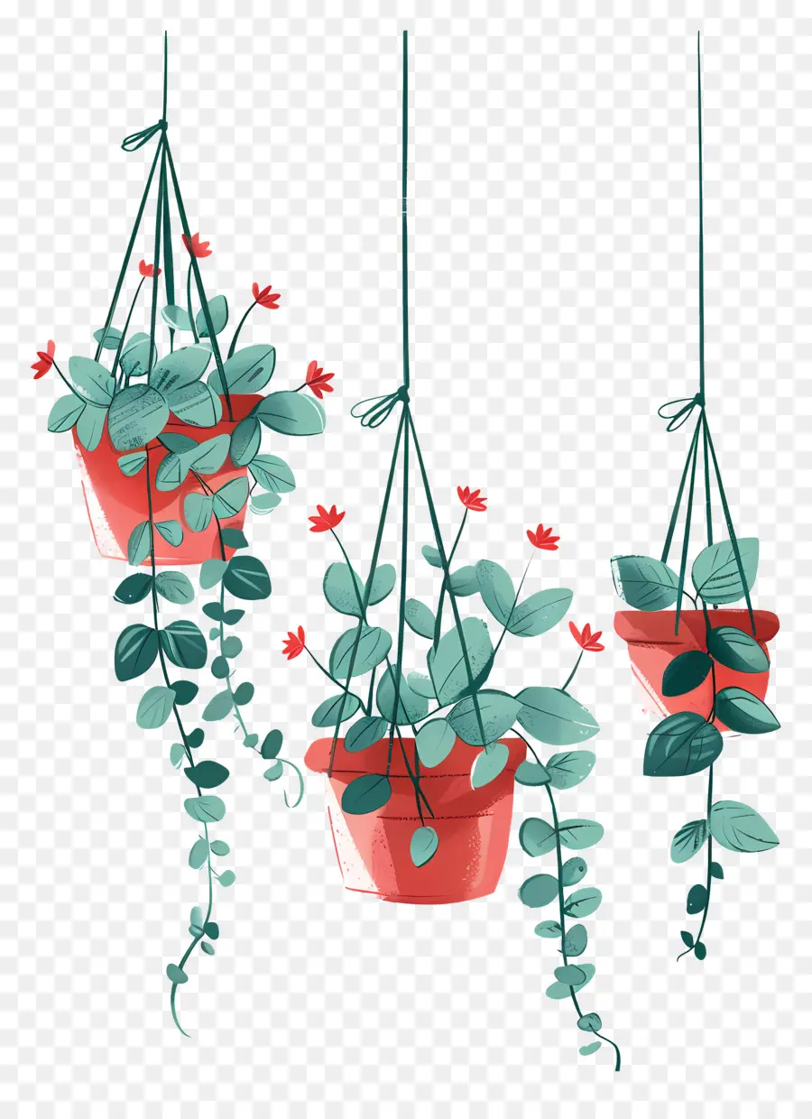 Plantes En Pot Suspendus，Les Plantes Suspendues PNG