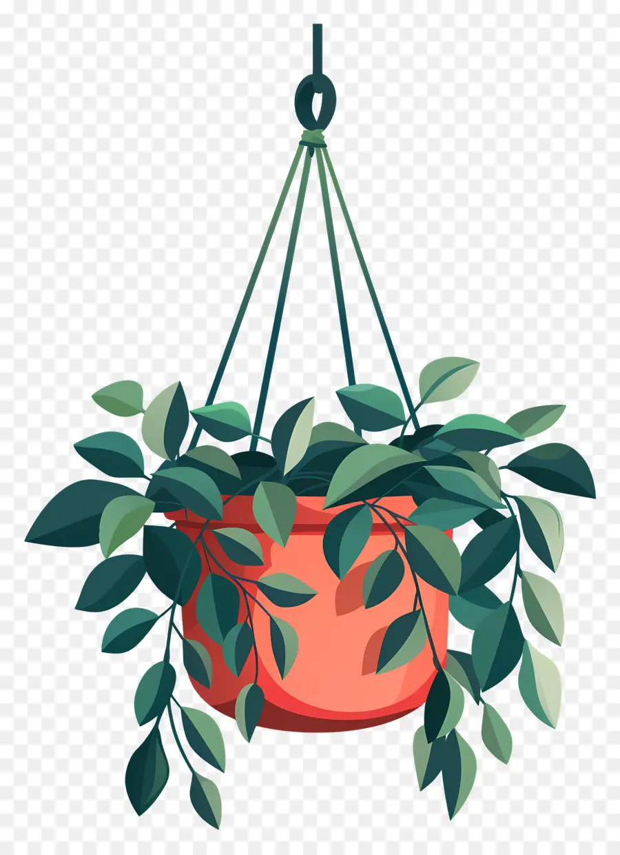 Cintre Pour Plantes，Plante Suspendue PNG