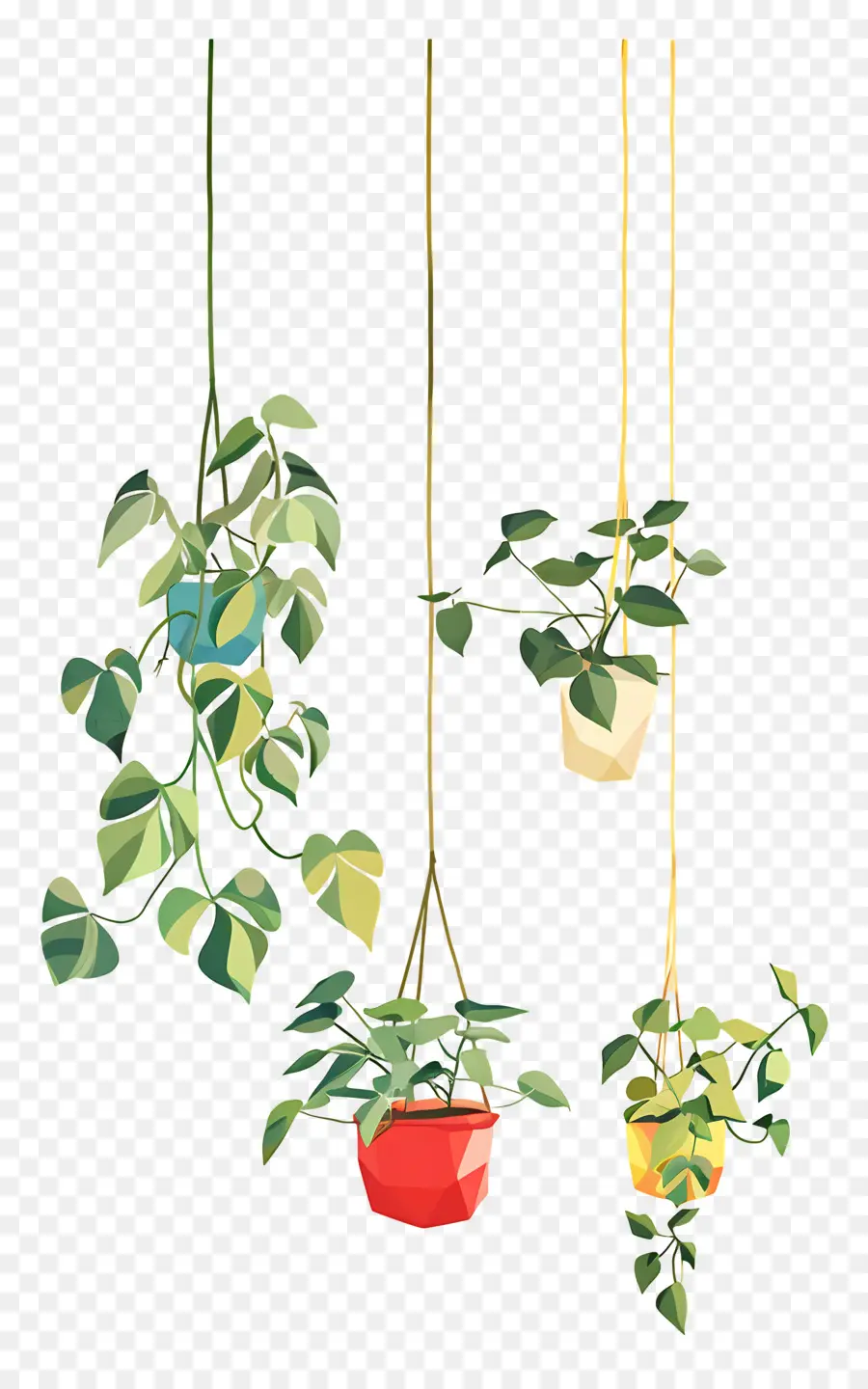 Plantes En Pot Suspendues，Plantes Suspendues PNG