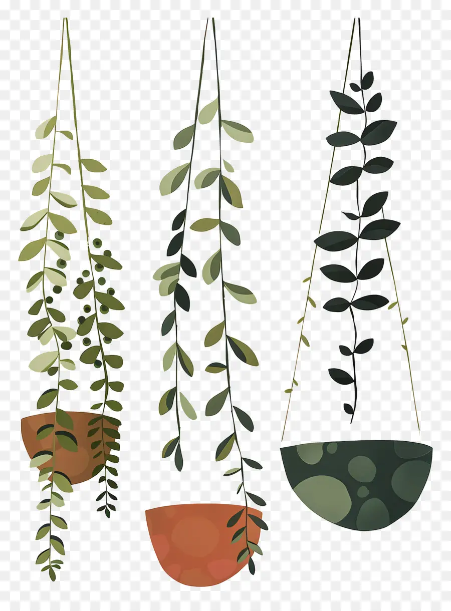 Plantes En Pot Suspendus，Les Plantes Suspendues PNG