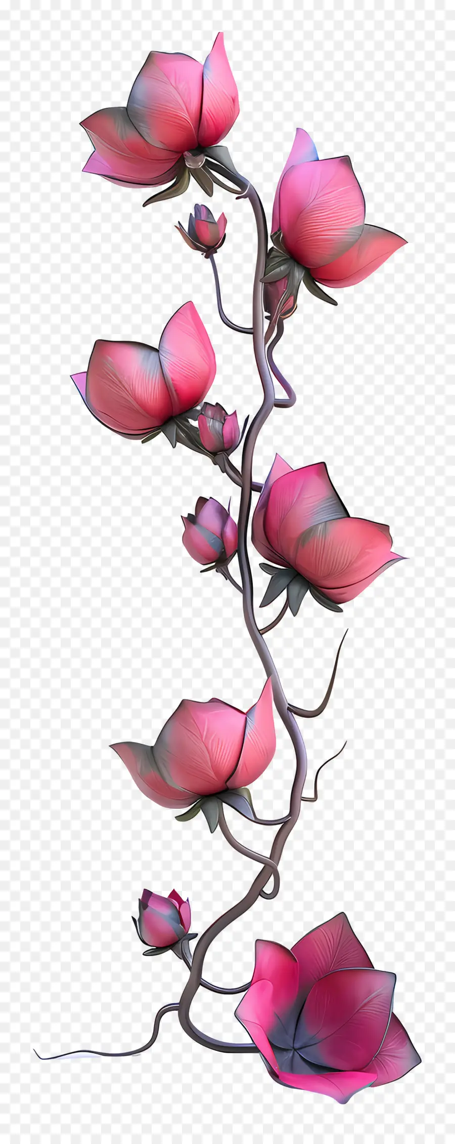 Fleur De Vigne，Rose PNG