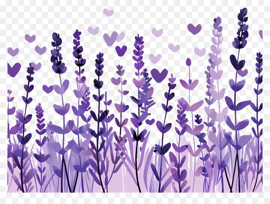 Champs De Lavande，Fleurs Violettes PNG