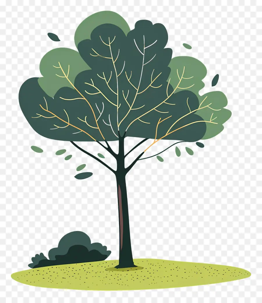 Arbre，Feuillage PNG