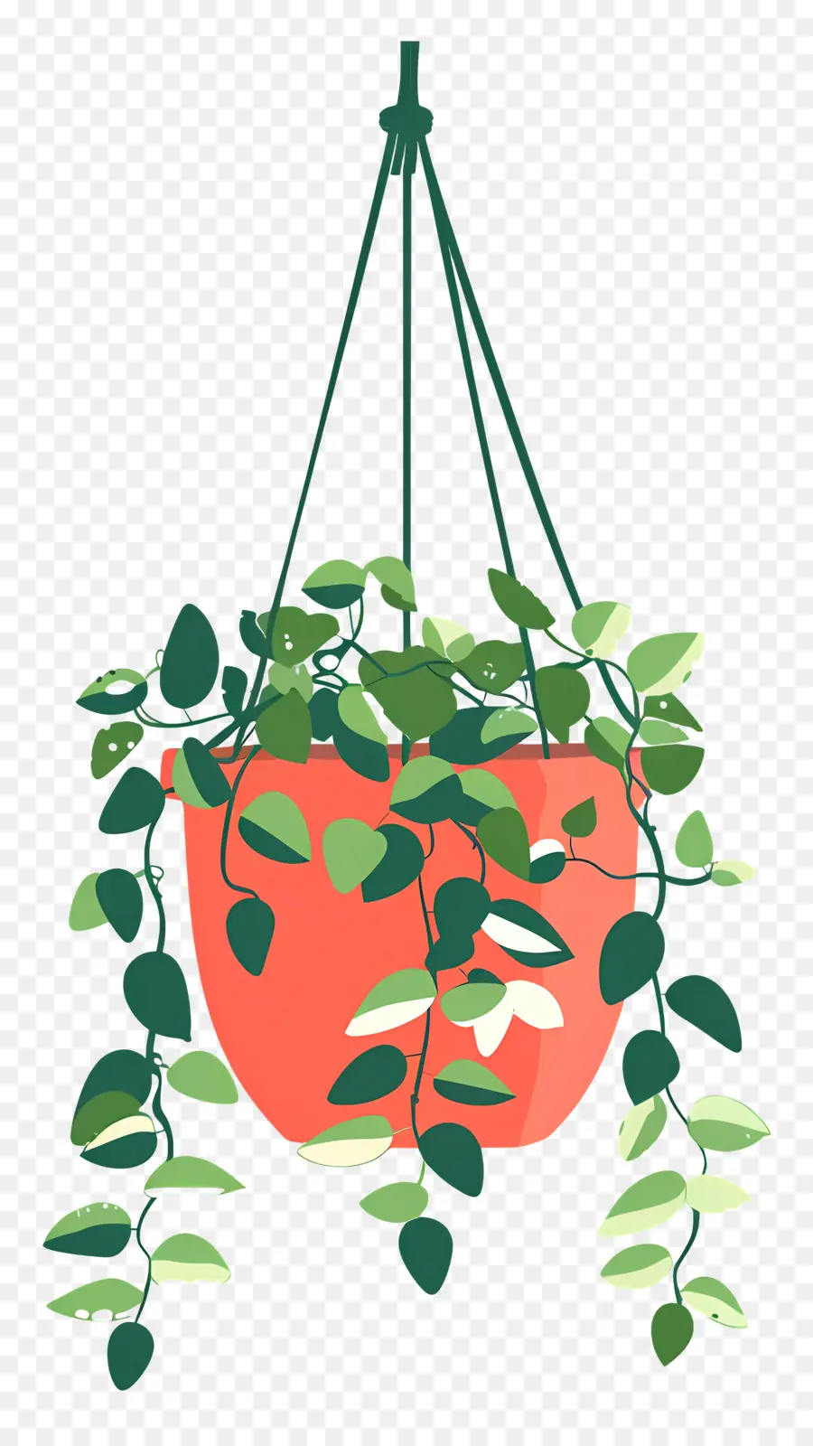 Cintre Pour Plantes，Plante Suspendue PNG