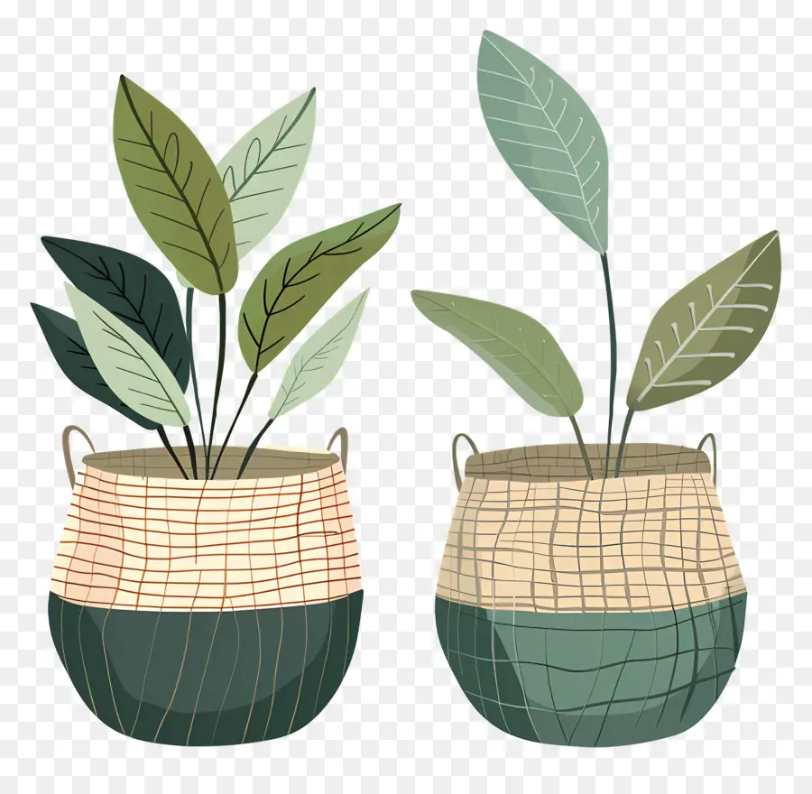 Plantes Dans Un Panier，Plantes En Paniers PNG