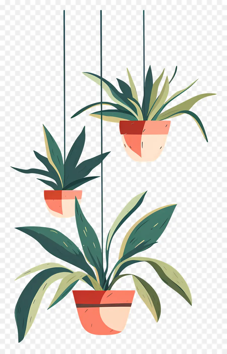 Plantes En Pot Suspendues，Plantes Suspendues PNG