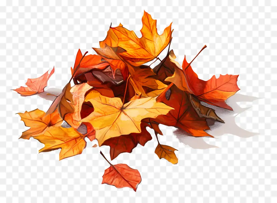 L'automne Commence，Feuilles D'automne PNG