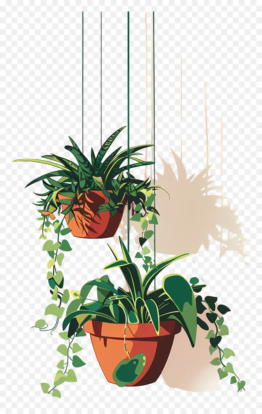 Plantes En Pot Suspendues，Plantes Suspendues PNG