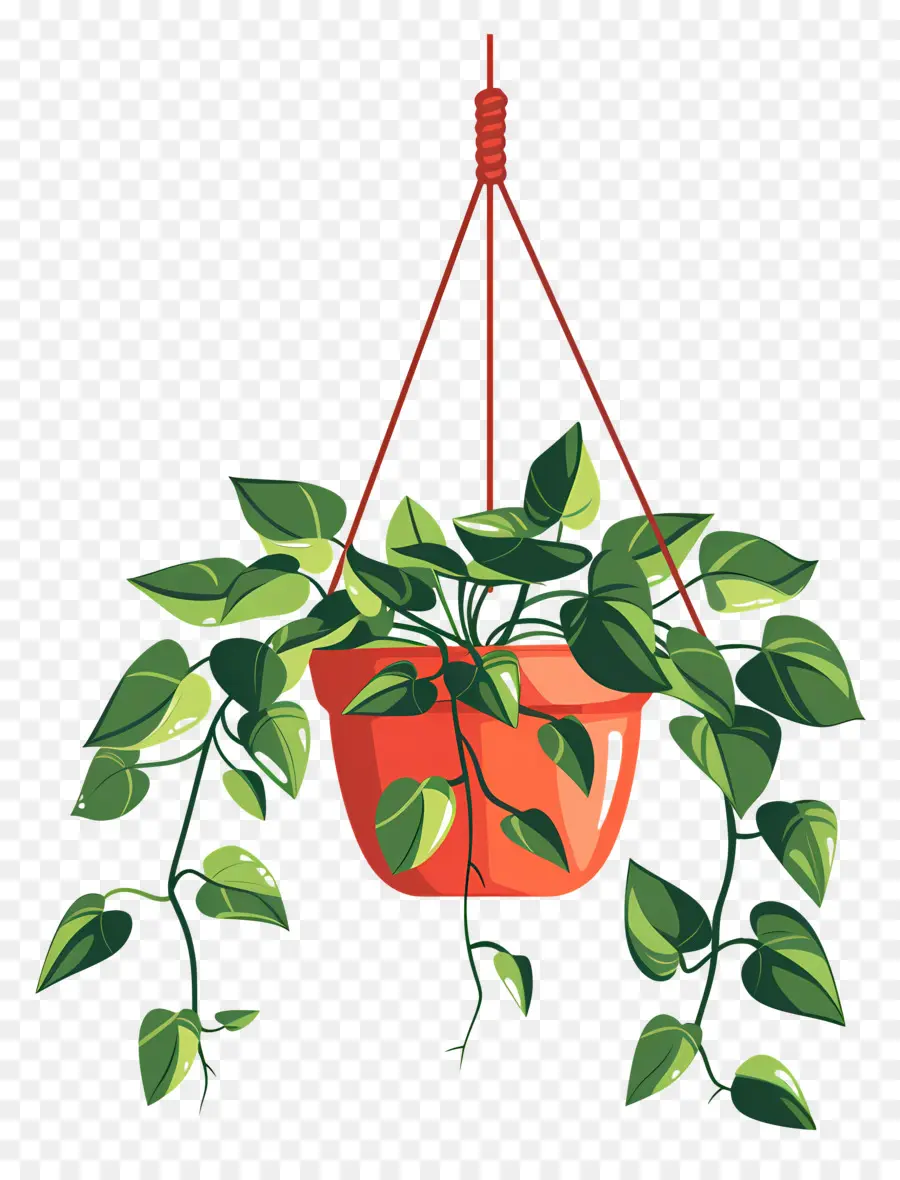 Cintre Pour Plantes，Plante Suspendue PNG