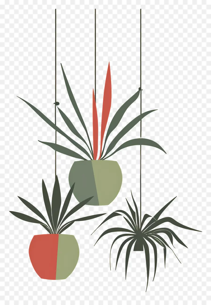 Plantes En Pot Suspendues，Plantes Suspendues PNG