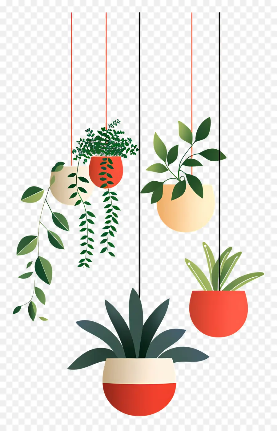 Plantes En Pot Suspendues，Plantes Suspendues PNG