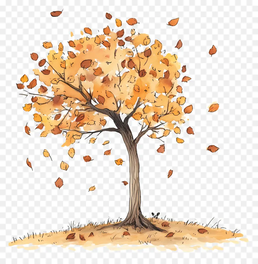 L'automne Commence，Arbre D'automne PNG