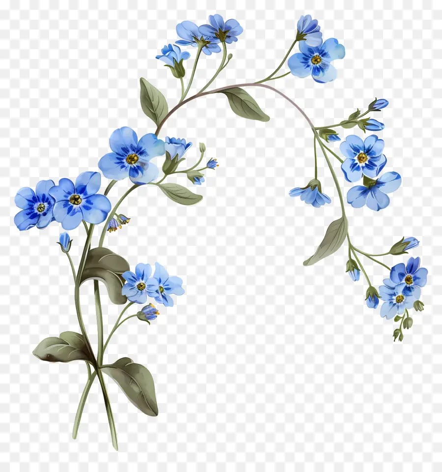 Ne M'oublie Pas Fleur，Fleurs Bleues PNG