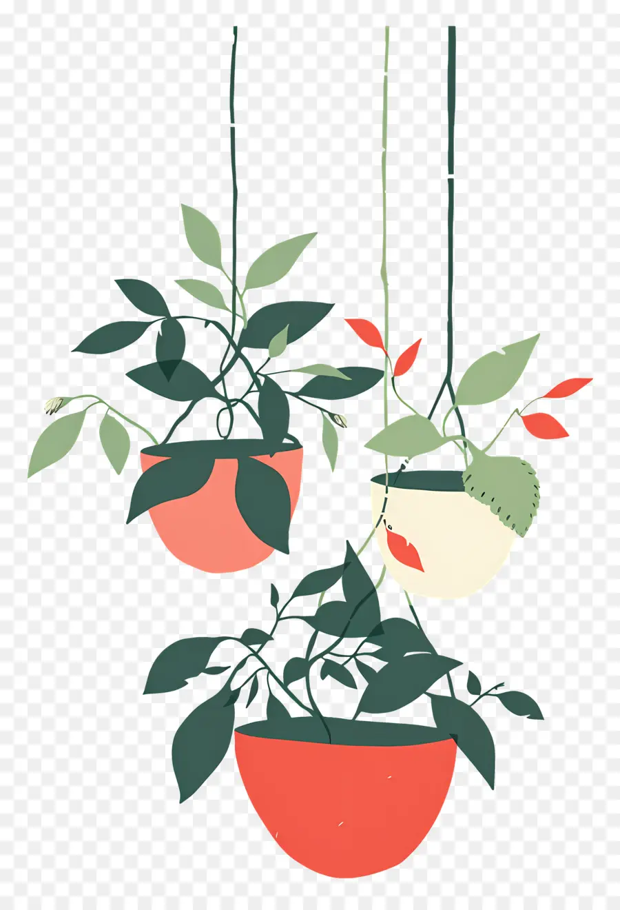 Plantes En Pot Suspendues，Plantes Suspendues PNG